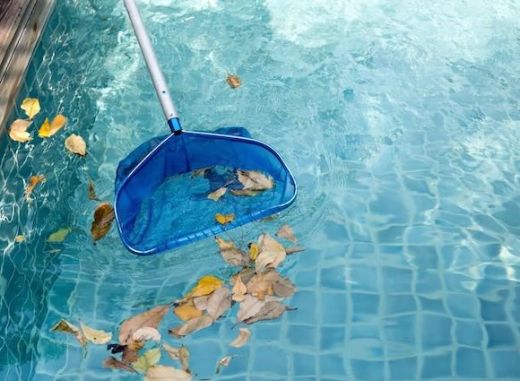 leaves in pool 580x420 leaves in pool 580x420